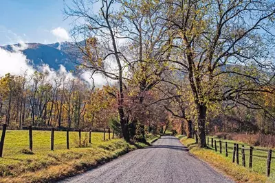 cades cove fall