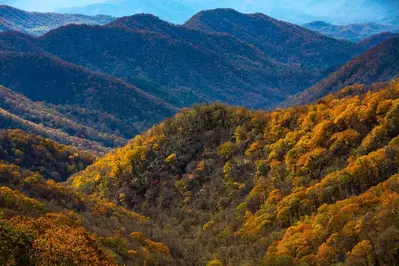 newfound gap road fall