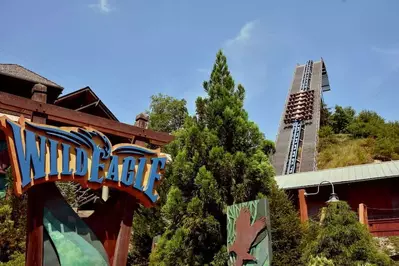 wild eagle coaster at dollywood