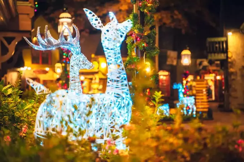 Smoky Mountain Winterfest lights