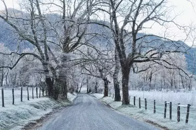 snowy road in Cades Cove