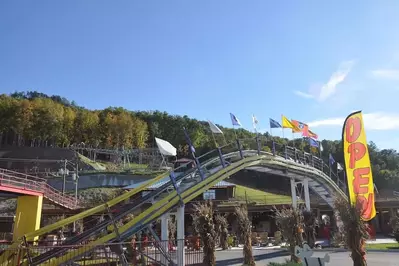 mountain coaster 