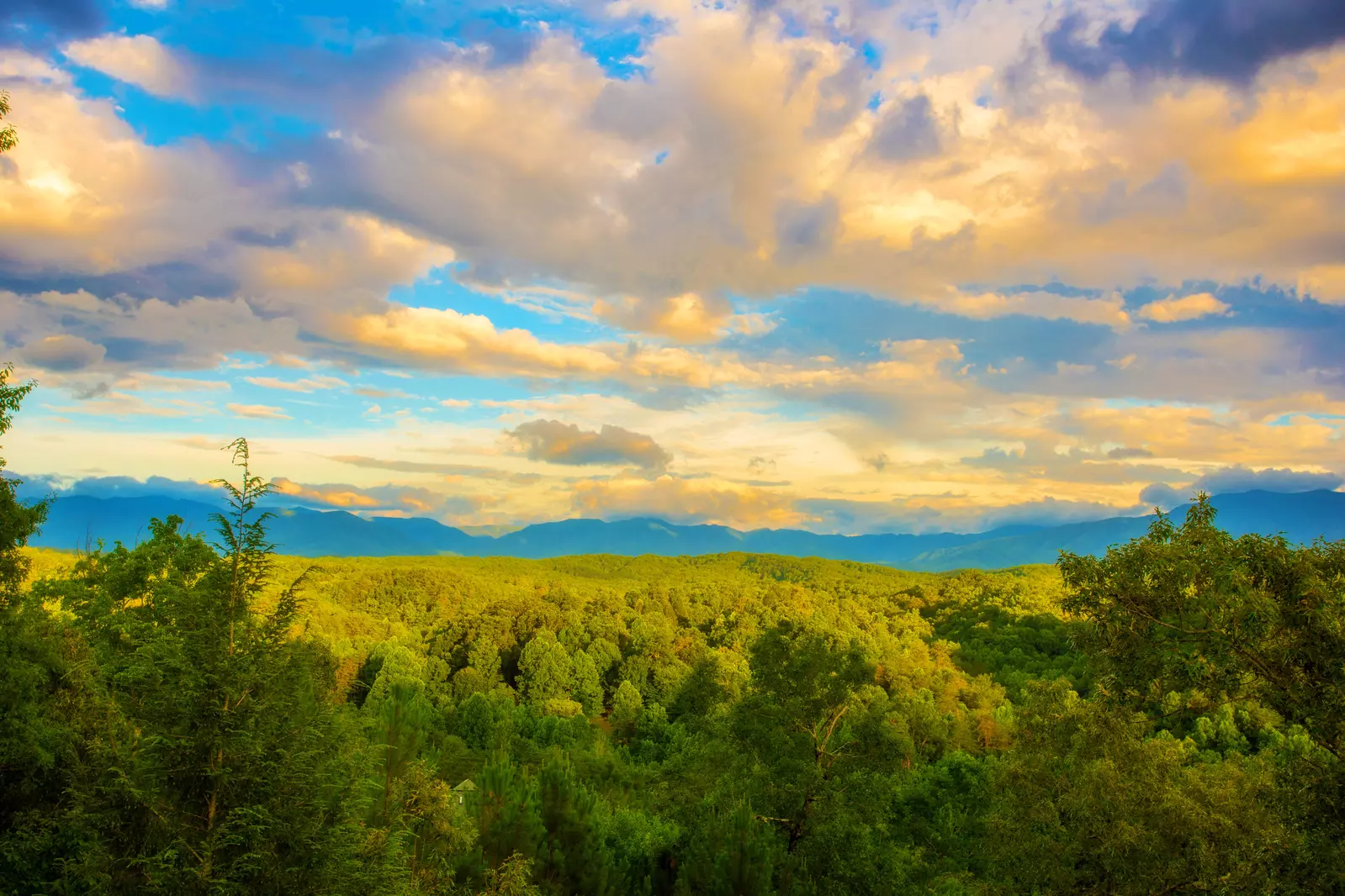 Smoky Mountain Retreat