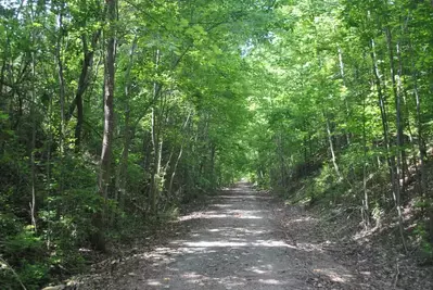 trail in pigeon forge tn